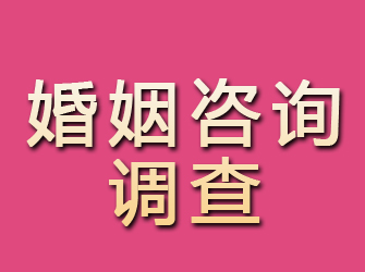 蓬安婚姻咨询调查