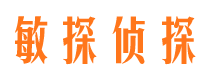 蓬安市调查取证